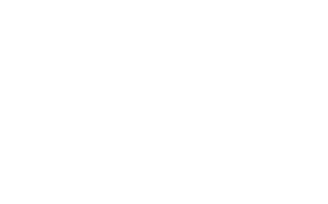 everlast logo