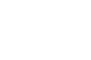 wesing logo